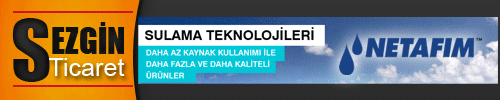 Sezgin Ticaret